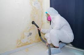 Mold Removal for HVAC Installations in Orangeburg, SC